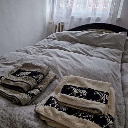 Erzsebet Apartman, Free Parking 부다페스트 외부 사진