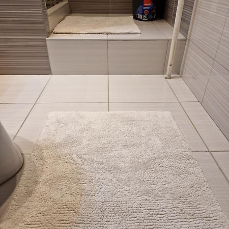 Erzsebet Apartman, Free Parking 부다페스트 외부 사진