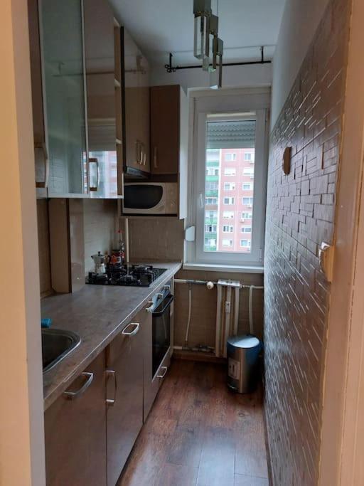 Erzsebet Apartman, Free Parking 부다페스트 외부 사진
